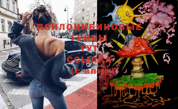 spice Абинск