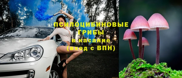 spice Абинск